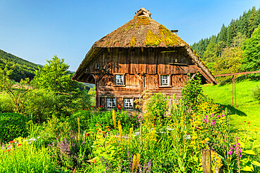 Landwasserhof Mill and cottage garden near Elzach, Black Forest, Baden-Wurttemberg, Germany, Europe