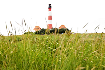 Westerheversand Lighthouse, Westerhever, Eiderstedt Peninsula, Schleswig Holstein, Germany, Europe