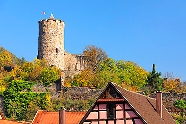 Castle of Kaysersberg, Alsace, Alsatian Wine Route, Haut-Rhin, France, Europe