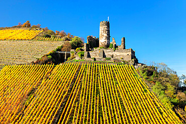 Furstenberg Castle, Oberdiebach, Rhine Valley, Rhineland-Palatinate, Germany, Europe