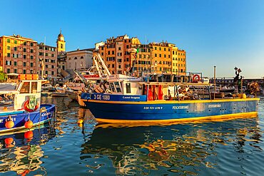 The old port, Camogli, Rivera di Levante, Genova District, Liguria, Italy