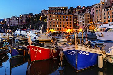 The old port, Camogli, Rivera di Levante, Genova District, Liguria, Italy