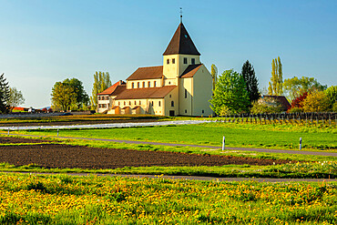 St. Georg Church, Oberzell, UNESCO World Heritage Site, Reichenau Island, Lake Constance, Baden Wurttemberg, Germany, Europe