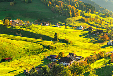 Munstertal Valley, Southern Black Forest, Baden-Wurttemberg, Germany, Europe