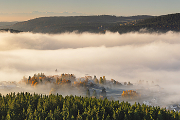 Early morning fog over Schluchsee Lake, Southern Black Forest, Baden-Wurttemberg, Germany, Europe