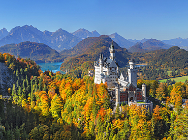 Neuschwanstein Castle, Schwangau, Allgau, Swabia, Bavaria, Germany, Europe