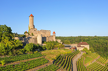 Hornberg Castle, Neckarzimmern, Neckartal Valley, Odenwald, Burgenstrasse, Baden-Wurttemberg, Germany, Europe