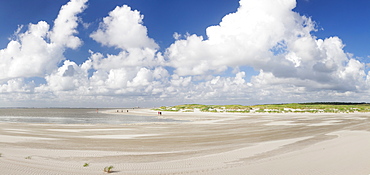 Dunes at a beach, Sankt Peter Ording, Eiderstedt Peninsula, Schleswig Holstein, Germany, Europe