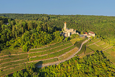 Aerial of Hornberg Castle, Neckarzimmern, Neckartal Valley, Odenwald, Burgenstrasse, Baden-Wurttemberg, Germany, Europe