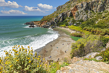 Palm beach of Preveli, Rethymno, Crete, Greek Islands, Greece, Europe