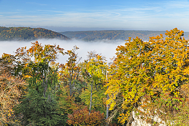 Fog over Altmuhl Valley, Riedenburg, Altmuhl Valley Nature Park, Bavaria, Germany, Europe