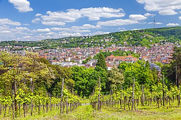 View from Karlshohe viewing point to Degerloch and tv tower, Stuttgart, Baden-Wurttemberg, Germany, Europe