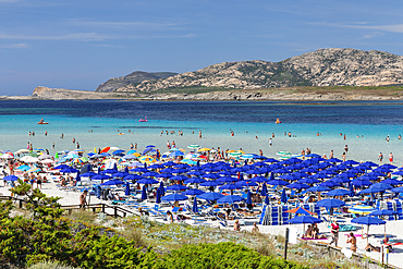 La Pelosa beach, Gulf of Asinara, Stintino, Sassari province, Sardinia, Italy, Mediterranean, Europe