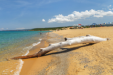 Driftwood, Scivu beach, Arbus, Sud Sardegna district, Sardinia, Italy, Mediterranean, Europe