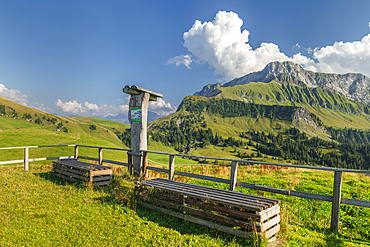 Oberbauen Mountain, Lake Lucerne, Canton Uri, Switzerland, Europe