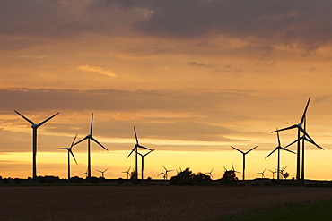 Wind turbines at sunset, Fehmarn, Baltic Sea, Schleswig Holstein, Germany, Europe