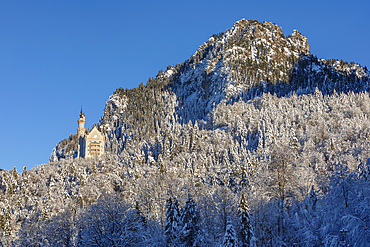 Neuschwanstein castle, Schwangau, Fussen, Swabia, Bavarian Alps, Bavaria, Germany, Europe