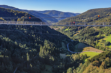 Blackforestline suspension bridge, Todtnau, Schwarzwald (Black Forest), Baden-Wurttemberg, Germany, Europe