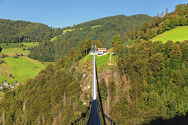 Blackforestline suspension bridge, Todtnau, Schwarzwald (Black Forest), Baden-Wurttemberg, Germany, Europe