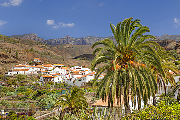 Fataga, Gran Canaria, Canary Islands, Spain, Atlantic, Europe