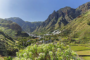 Valley of Agaete, Barranco de Agaete, Agaete, Gran Canaria, Canary Islands, Spain, Atlantic, Europe