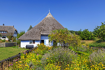 Traditional Pfarrwitwenhaus house Groß Zicker, Mönchgut Peninsula, Ruegen Island, Baltic Sea, Mecklenburg-Western Pomerania, Germany