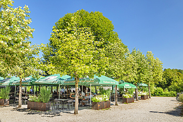 Beer Garden at Danube River, Swabian Jura, Baden-Wurttemberg, Germany