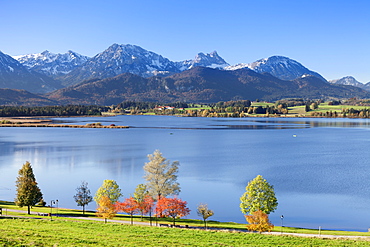 Hopfensee Lake in autumn, near Fussen, Allgau, Allgau Alps, Bavaria, Germany, Europe