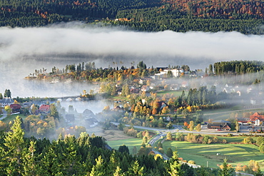 Early morning fog across the Schluchsee Lake in autumn, Black Forest, Baden Wurttemberg, Germany, Europe