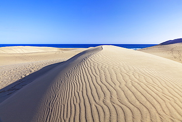 Sand dunes, Maspalomas, Gran Canaria, Canary Islands, Spain, Atlantic, Europe