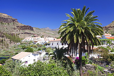 Fataga, Gran Canaria, Canary Islands, Spain, Europe