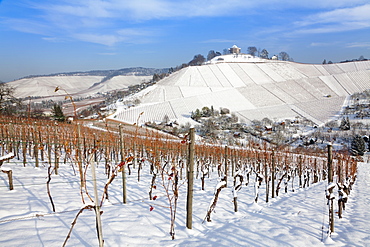 Wurttemberg Mausoleum in the vineyards in winter, Stuttgart-Rotenberg, Baden Wurttemberg, Germany, Europe