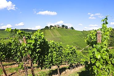 Wurttemberg Mausoleum in the vineyards, Stuttgart Rotenberg, Baden Wurttemberg, Germany, Europe