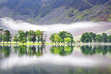 Early morning fog on Lake Buttermere, Lake District National Park, Cumbria, England, United Kingdom, Europe