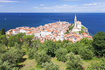 High angle view of the old town with Tartini Square, townhall and the cathedral of St. George, Piran, Istria, Slovenia, Europe