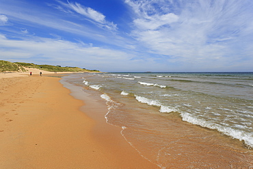 Walkers on the golden sands of Embleton Bay, Northumberland Coast. England, Europe