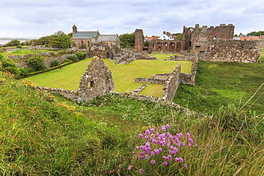 Lindisfarne Priory, early Christian site, and village, elevated view, Holy Island, Northumberland Coast, England, United Kingdom, Europe