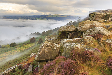 Early morning fog, partial temperature inversion, Curbar Edge, Peak District National Park, summer heather, Derbyshire, England, United Kingdom, Europe