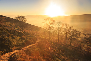 Misty and frosty sunrise over skeletal trees above the Hope Valley in winter, Castleton, Peak District, Derbyshire, England, United Kingdom, Europe