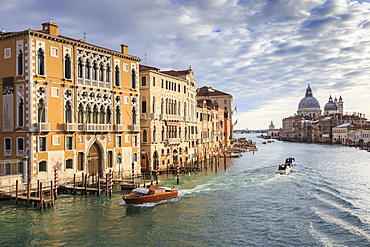 Basilica Santa Maria della Salute, from Accademia bridge, in winter morning sun, Venice, UNESCO World Heritage Site, Veneto, Italy, Europe