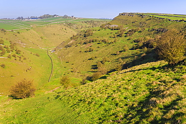 Cressbrook Dale Nature Reserve, rolling landscape, elevated view in spring, Peak District National Park, Derbyshire, England, United Kingdom, Europe