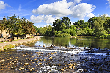 River Wye in spring, Bakewell, Historic Market Town, home of Bakewell Pudding, Peak District National Park, Derbyshire, England, United Kingdom, Europe