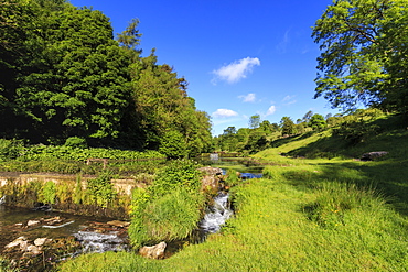 Lathkill Dale, near Over Haddon and Youlgreave (Youlgrave), spring, Peak District National Park, Derbyshire, England, United Kingdom, Europe