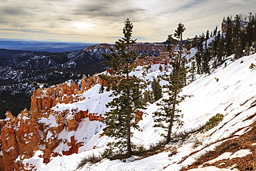 Weakly lit snowy rim, pine trees and hoodoos with cloudy sky, near Agua Canyon, Bryce Canyon National Park, Utah, United States of America, North America