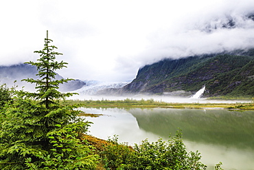 Forest mist and reflections, Mendenhall Glacier and Lake and Nugget Falls Cascade, Tongass National Forest, Juneau, Alaska, United States of America, North America