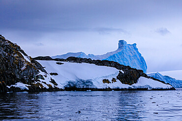 Moss covered rocks with dusting of snow, blue iceberg, Torgersen Island, Anvers Island, Antarctic Peninsula, Antarctica, Polar Regions