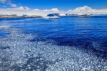 Brash ice, off Anvers Island, misty Mount William, glaciers and icebergs, blue sky, Antarctic Peninsula, Antarctica, Polar Regions