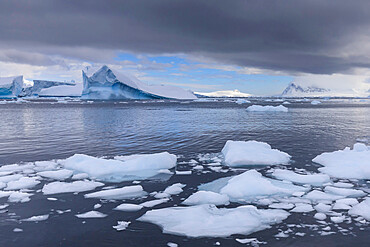 Icebergs and growlers off Cuverville Island, Errera Channel, Danco Coast, Antarctic Peninsula, Antarctica, Polar Regions