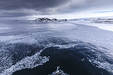 Brash ice and grease ice, Torgersen Island and glaciers of Anvers Island, Antarctic Peninsula, Antarctica, Polar Regions