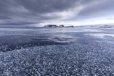 Brash ice and grease ice, strip of blue sky, Torgersen Island, glaciers of Anvers Island, Antarctic Peninsula, Antarctica, Polar Regions